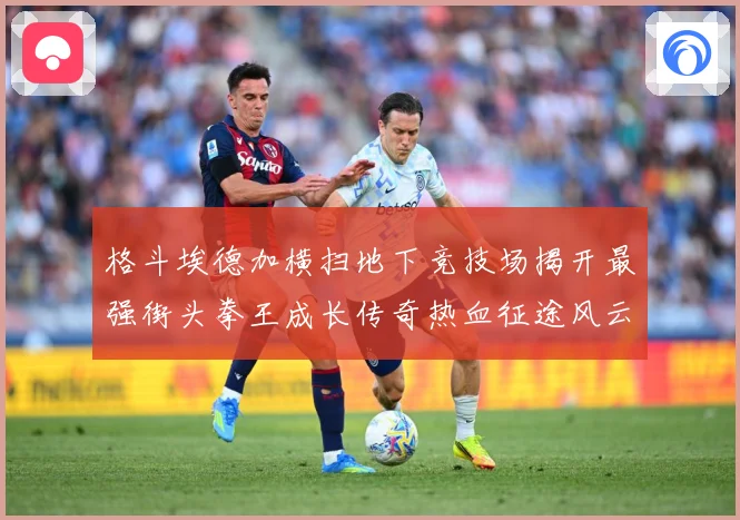 格斗埃德加横扫地下竞技场揭开最强街头拳王成长传奇热血征途风云录