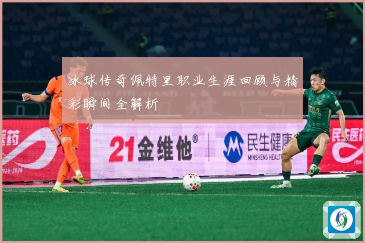 冰球传奇佩特里职业生涯回顾与精彩瞬间全解析
